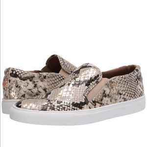 NEW Gold Snake Steve Madden Sneakers